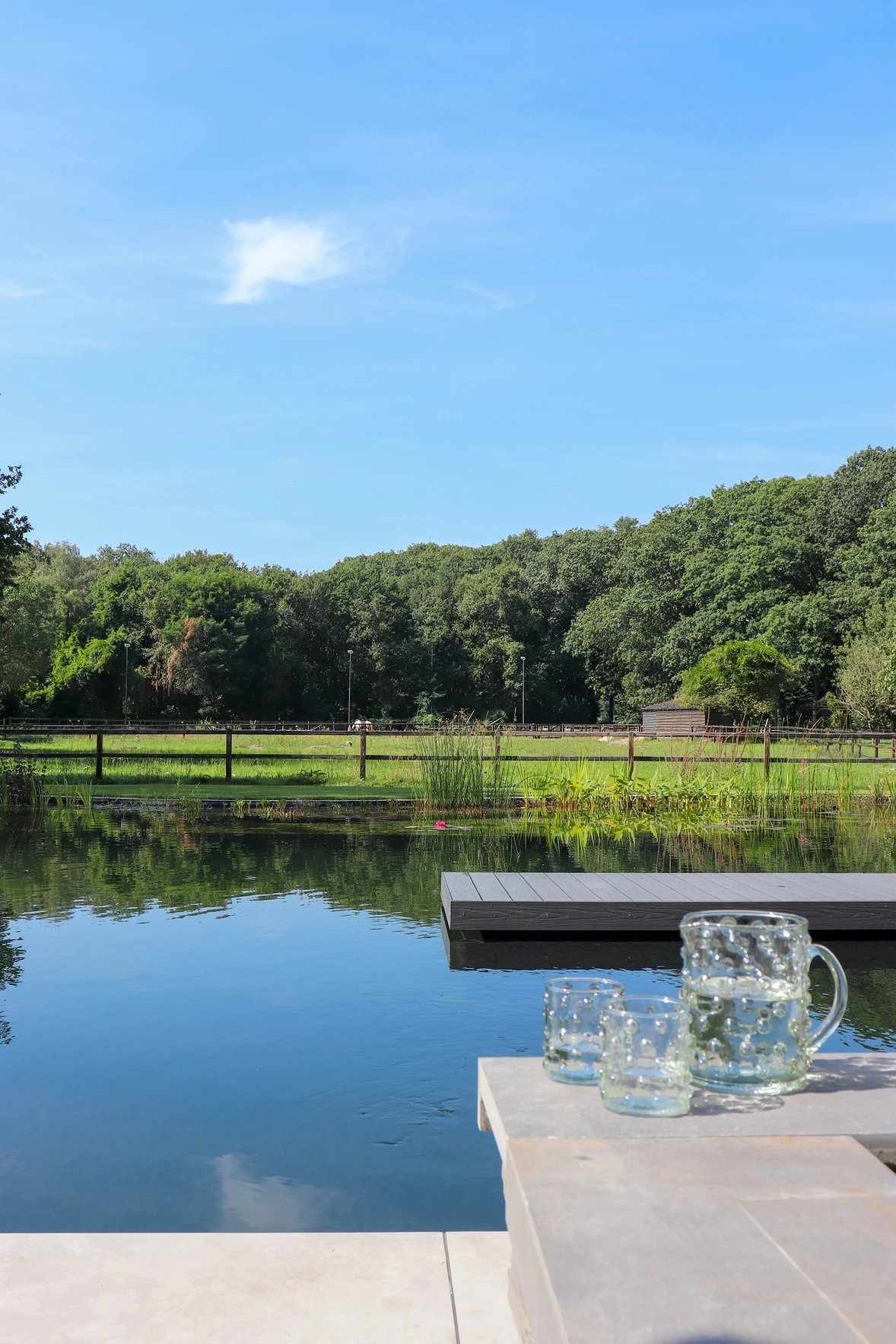 VLRH_zwemvijverwedstijd-01