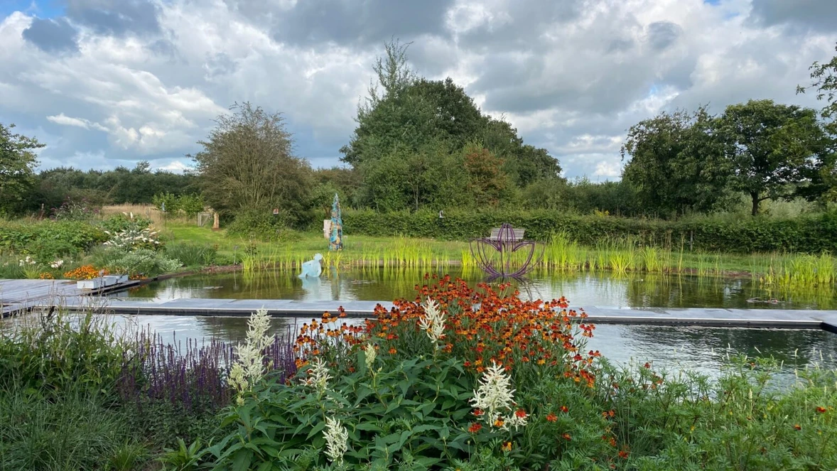 combi-zwemvijver-zelhem-3-1536x864