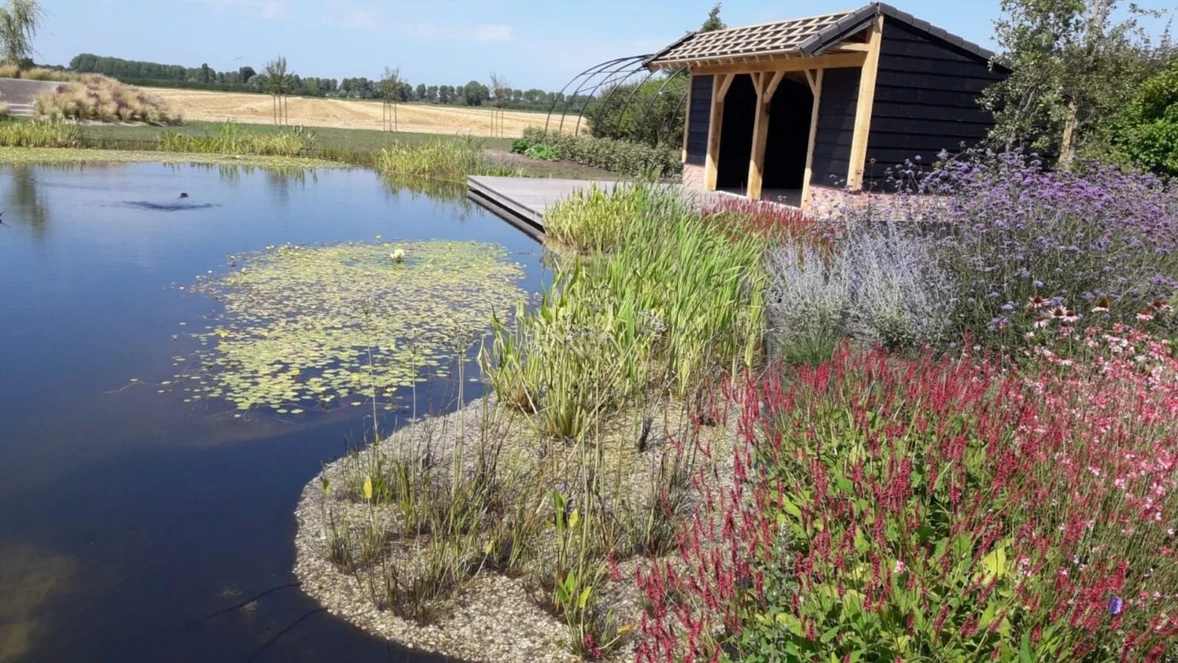 natuurlijk-zwemvijver-met-poolhouse-1536x864