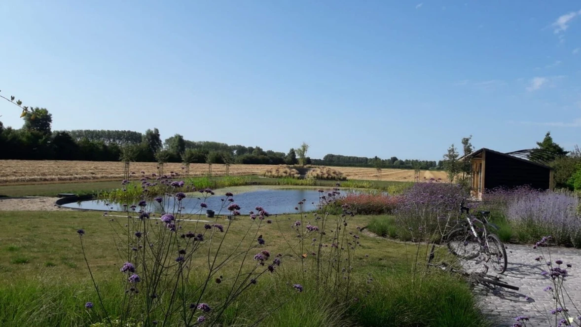 natuurlijke-zwemvijver-serooskerke-1536x864